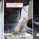 Illustration for article titled How I Saved My Project BMW E30 From Rust Oblivion by Learning to Weld